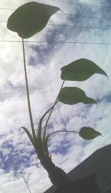 c0062796_10275791.jpg