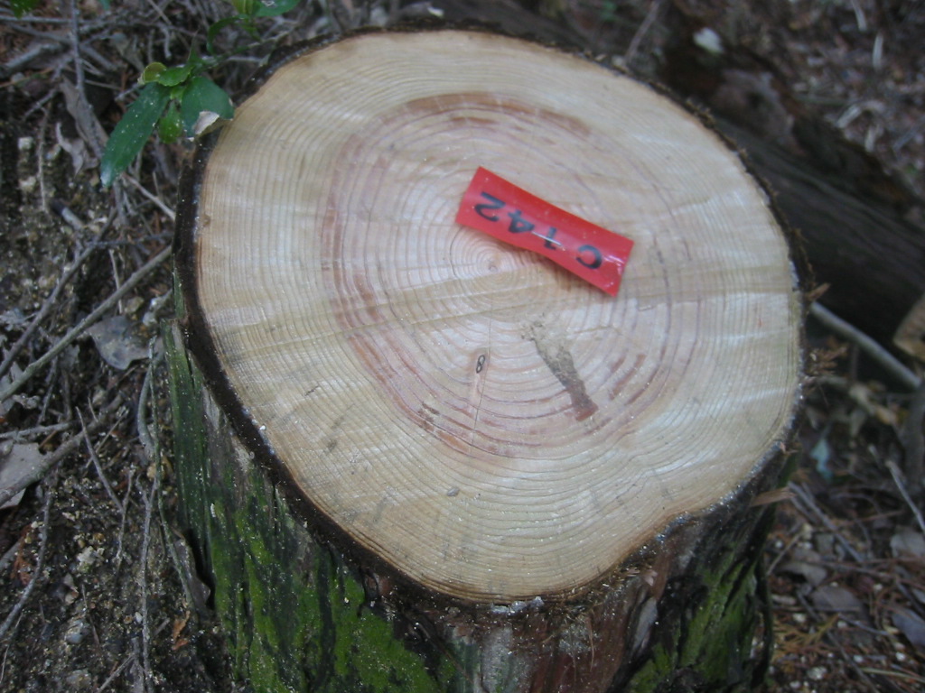 f0013998_5579100.jpg
