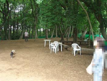 c0094999_14241573.jpg