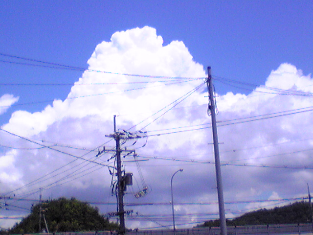 a0038501_22353542.jpg