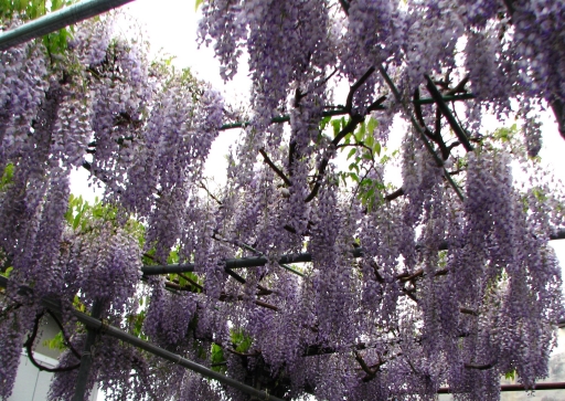 f0020302_2211845.jpg