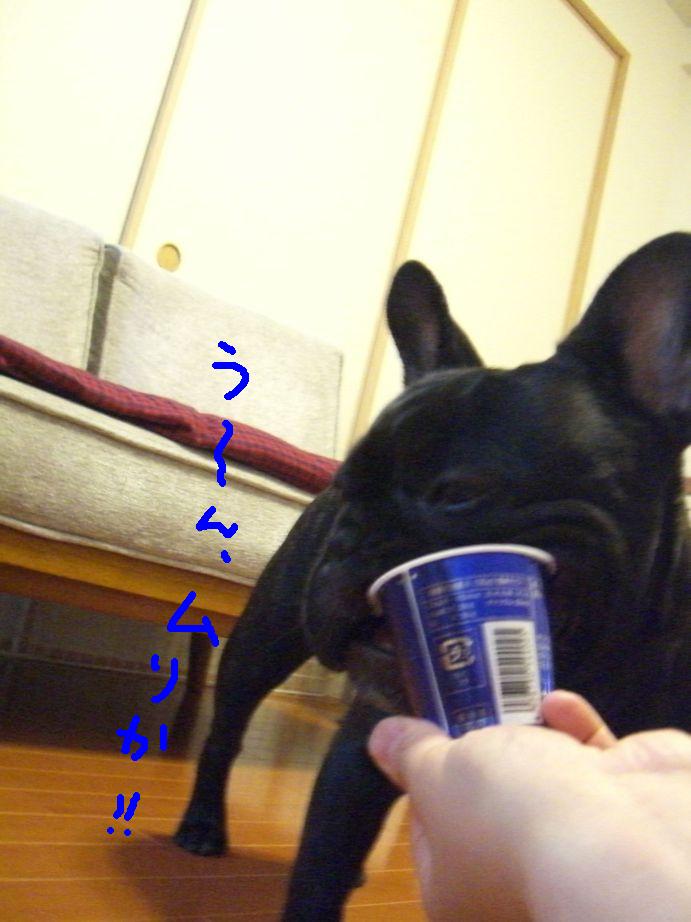 c0113109_21225616.jpg