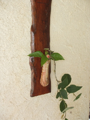e0071811_2113784.jpg