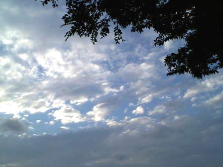 e0119017_3471560.jpg