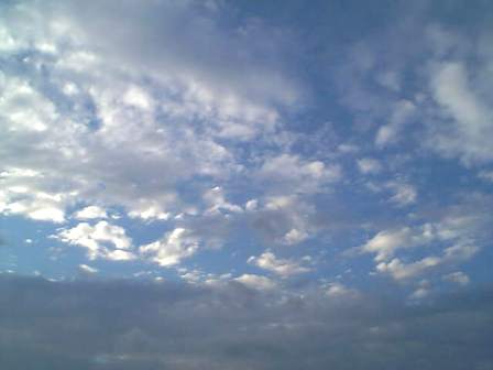 e0119017_3473247.jpg