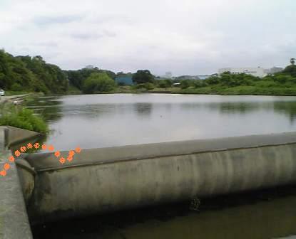 e0119017_481130.jpg