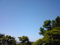 c0012120_1413774.jpg