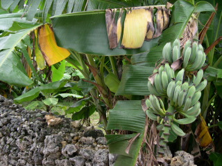 d0068023_0175718.jpg