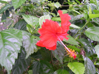 d0068023_0185151.jpg