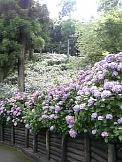 f0036223_6261953.jpg