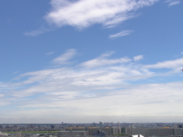 f0128723_234563.jpg