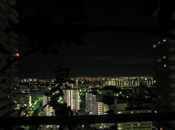 f0128723_2347204.jpg