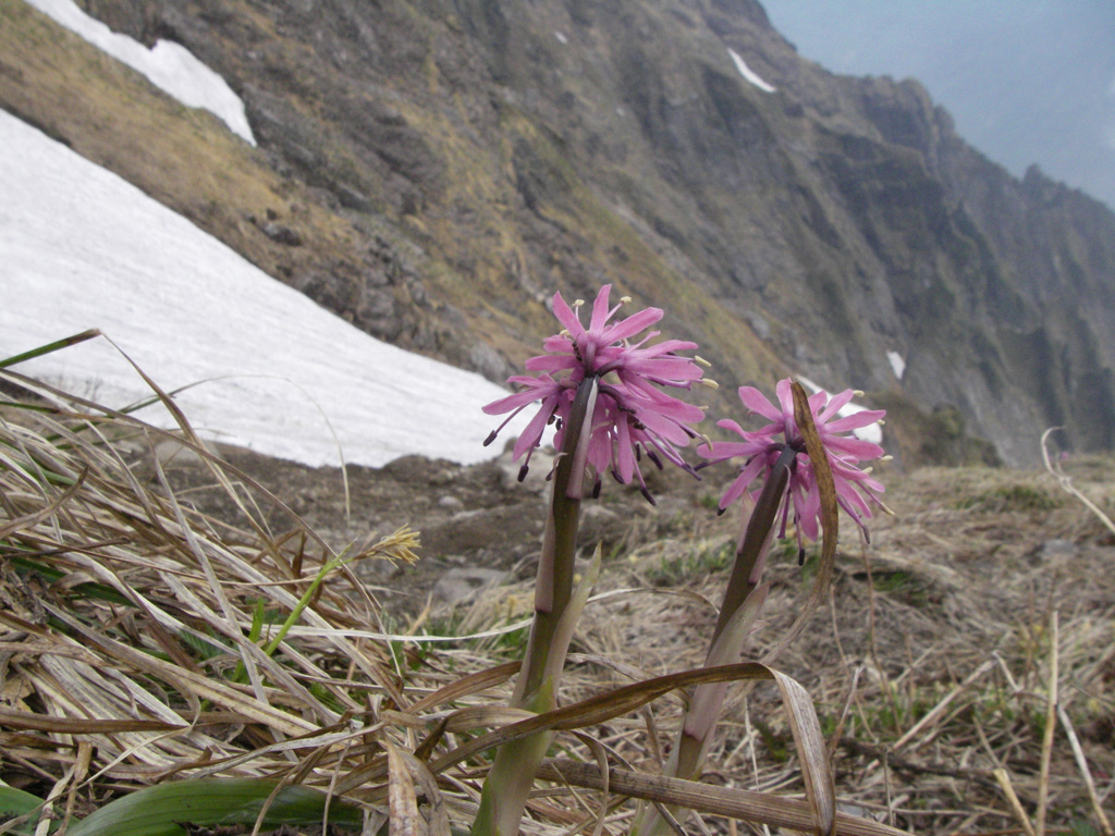 b0062024_6121456.jpg