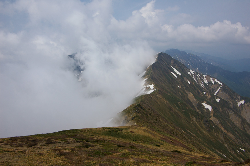 b0062024_6182739.jpg
