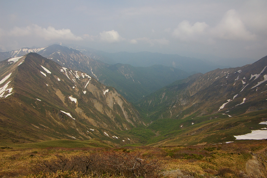 b0062024_622324.jpg