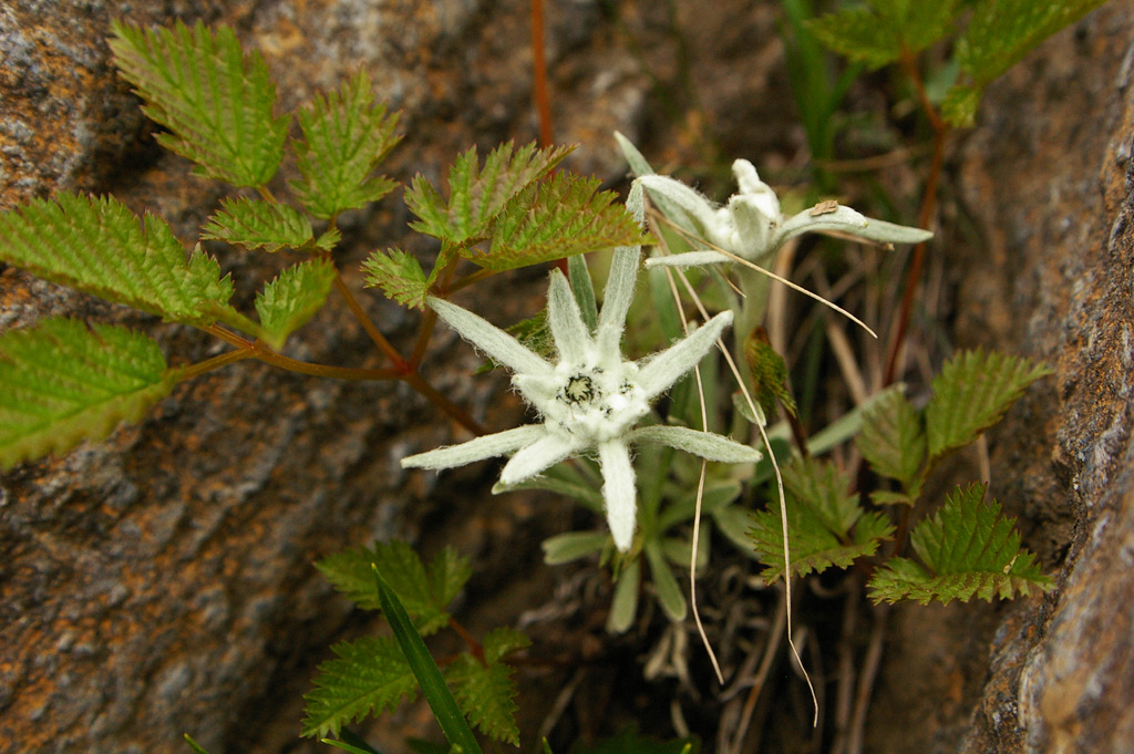 b0062024_6335996.jpg