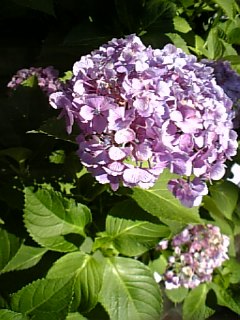 f0043225_23493747.jpg
