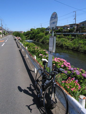 e0089826_2234327.jpg