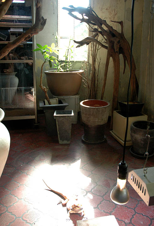 c0066827_16404830.jpg
