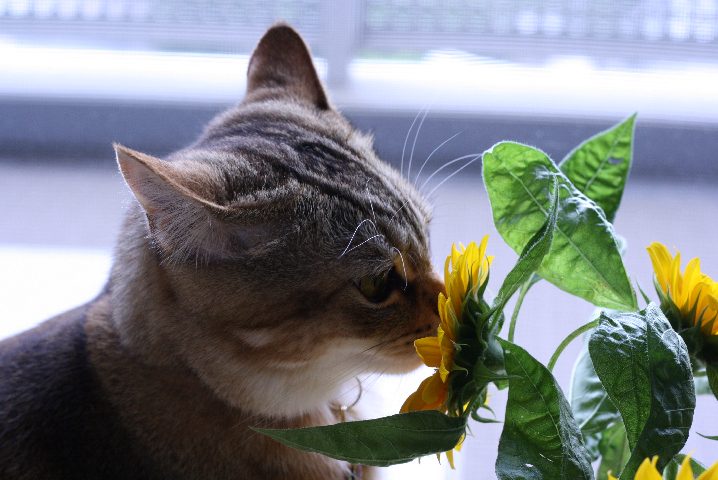 f0055228_16392590.jpg