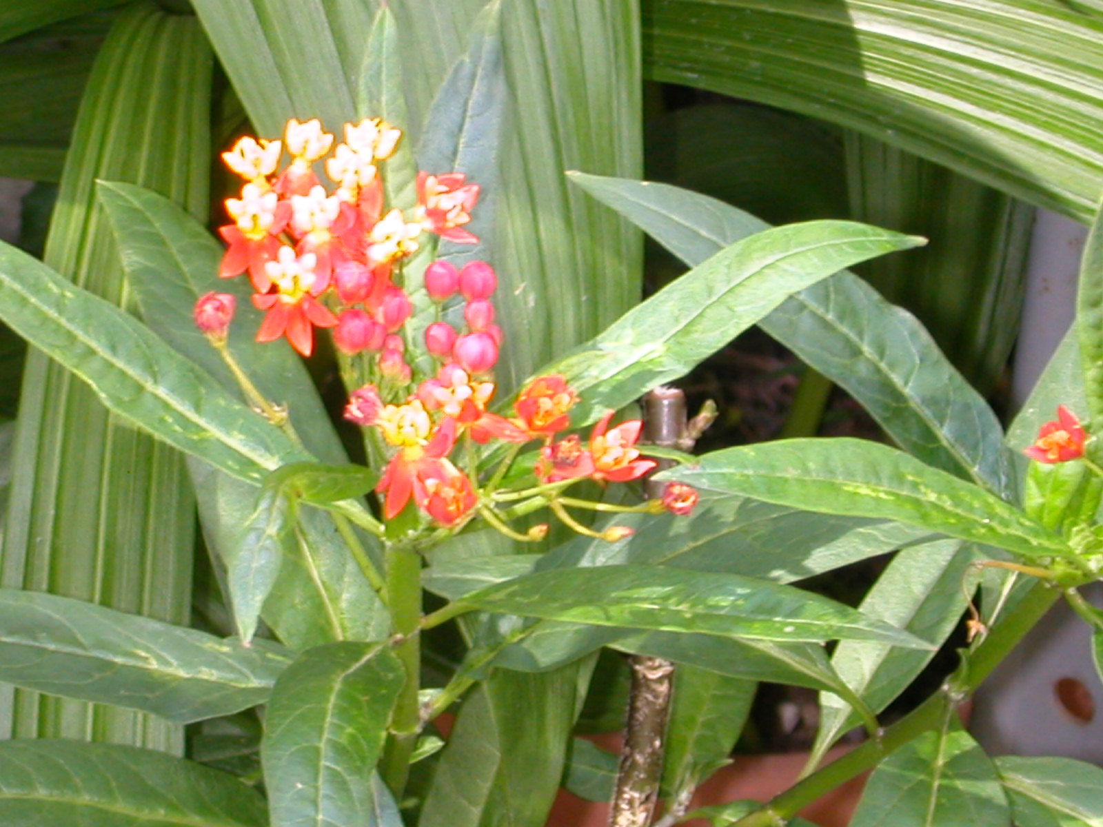 e0033229_2134146.jpg