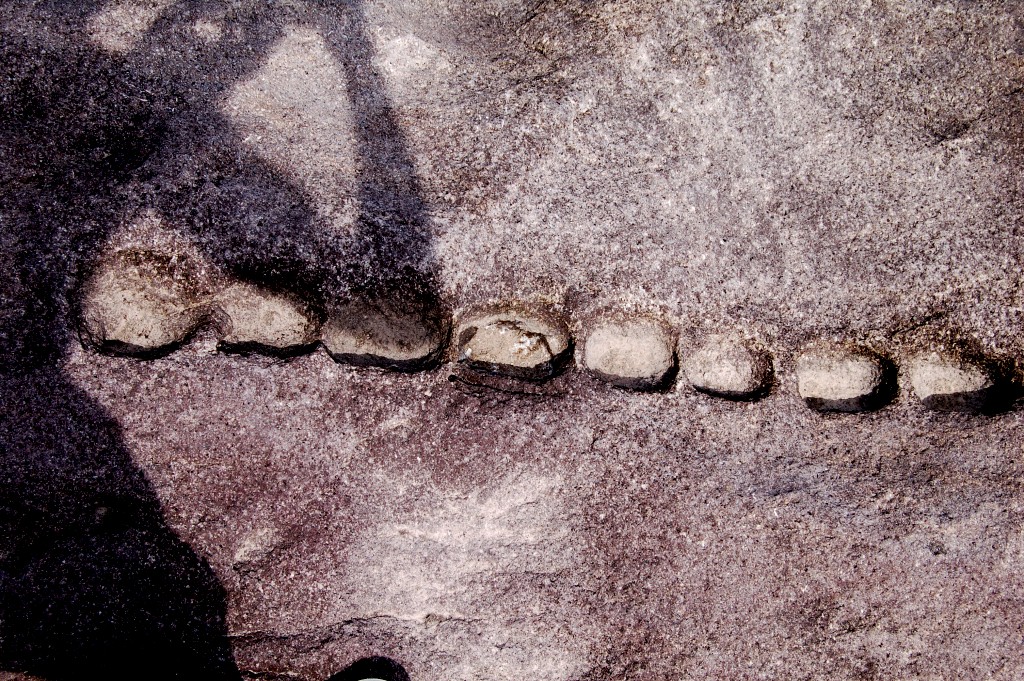 e0107030_7303579.jpg