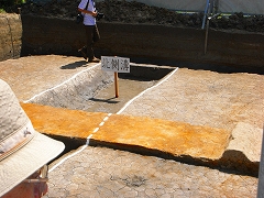 f0033836_17292744.jpg