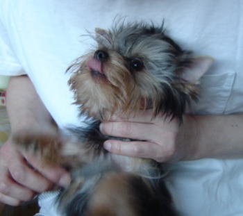b0001440_20123353.jpg