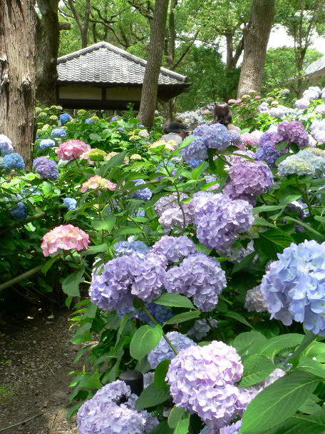 e0017051_21265390.jpg