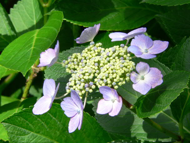 e0017051_2128425.jpg