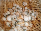 e0004756_2122335.jpg