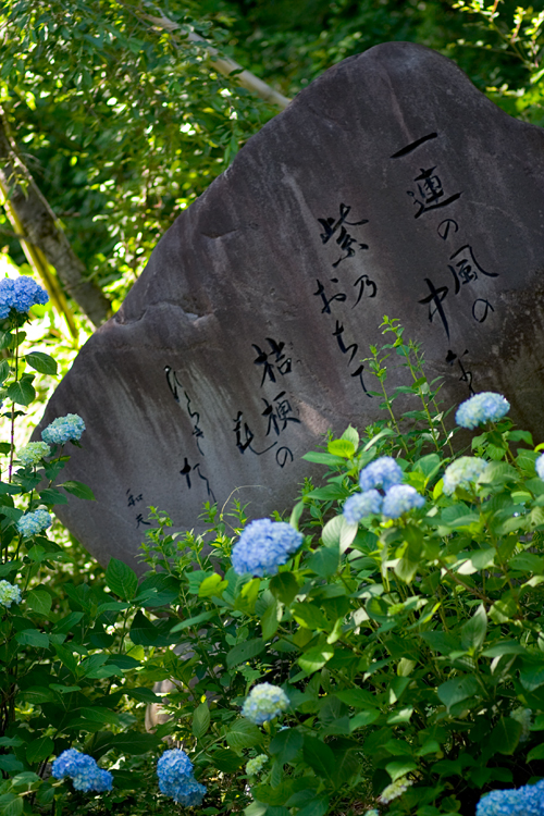 c0114161_14534224.jpg