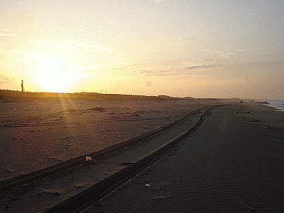 a0096669_2253093.gif