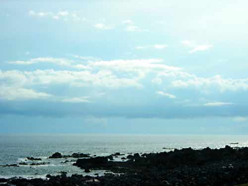 e0097770_1524558.jpg