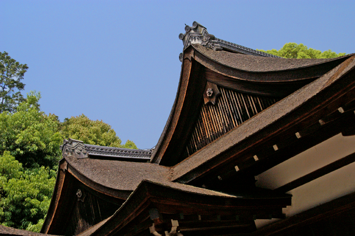 e0002371_1828550.jpg
