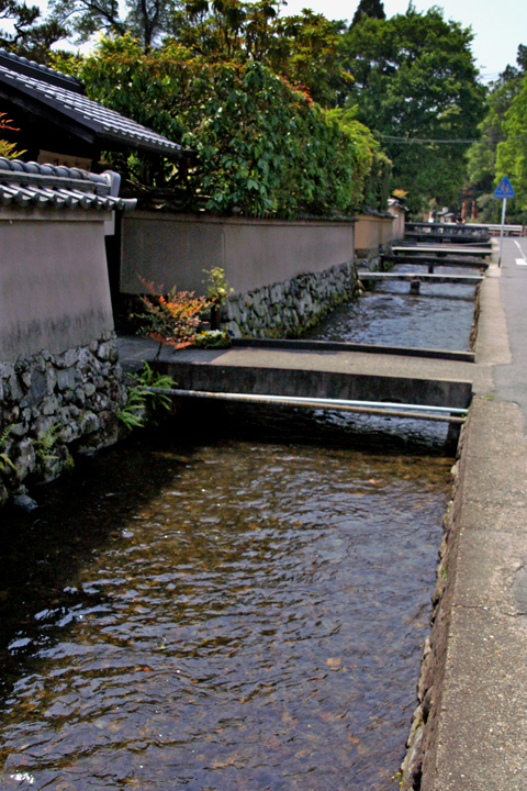 e0002371_1994229.jpg