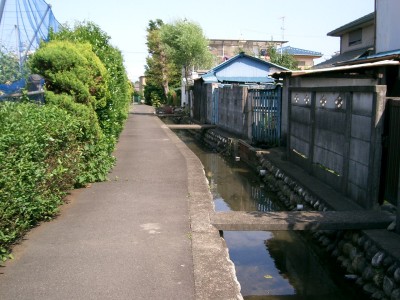 c0112172_22584524.jpg
