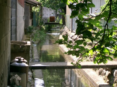c0112172_2258547.jpg