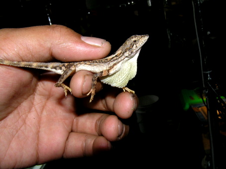 e0099576_16243989.jpg