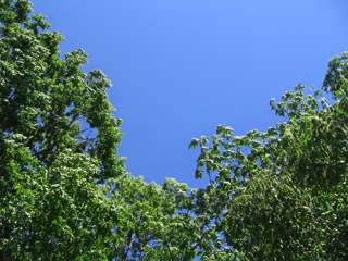 f0101776_2132848.jpg