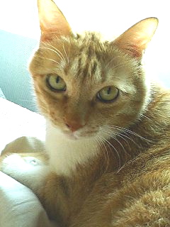 f0054677_835775.jpg