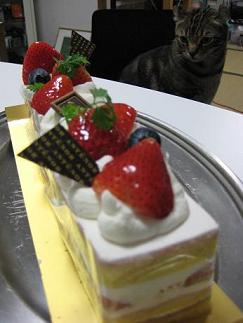 e0025280_23272461.jpg