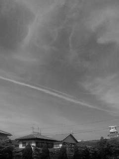 f0100480_16551438.jpg