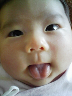c0020681_13425352.jpg