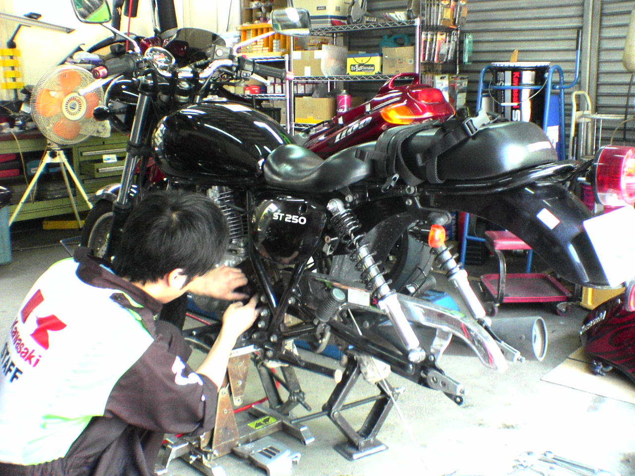 f0137483_1151751.jpg