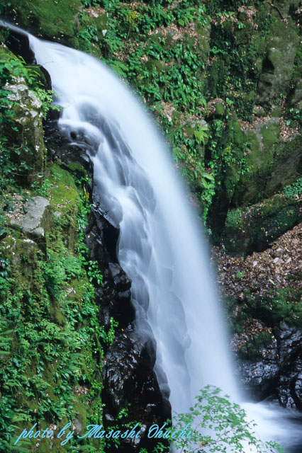 a0020184_19565019.jpg