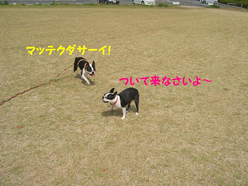 a0080889_21263589.jpg