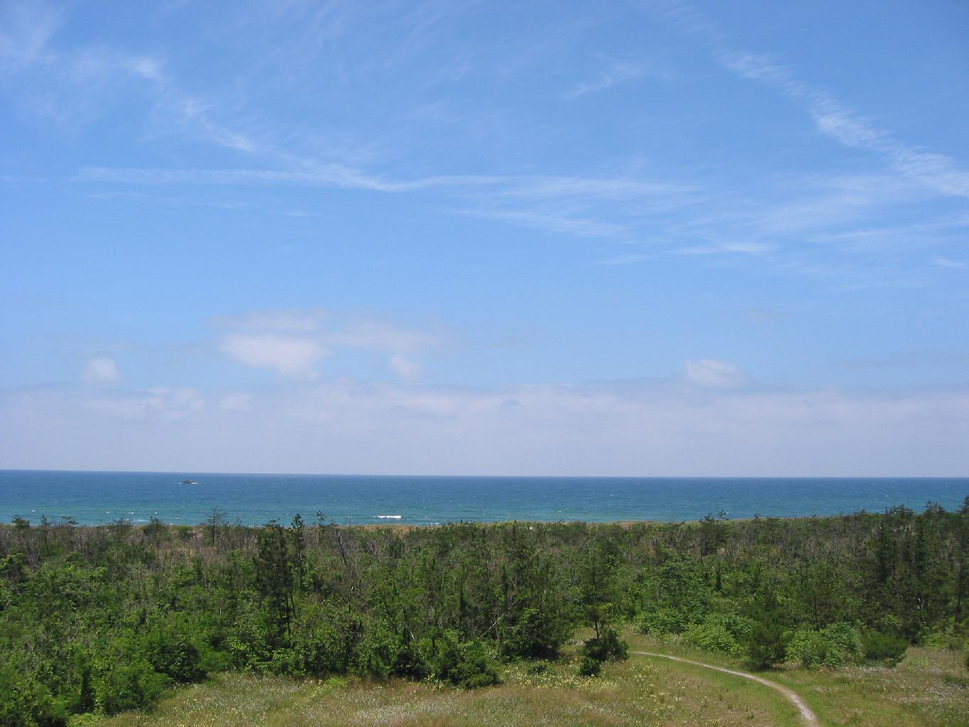 f0131491_123542.jpg