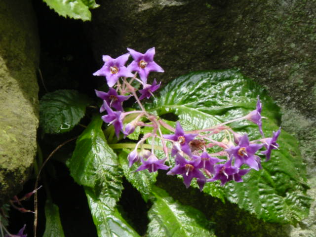 b0083902_192962.jpg