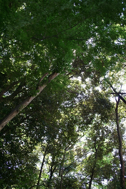 d0112003_18474980.jpg